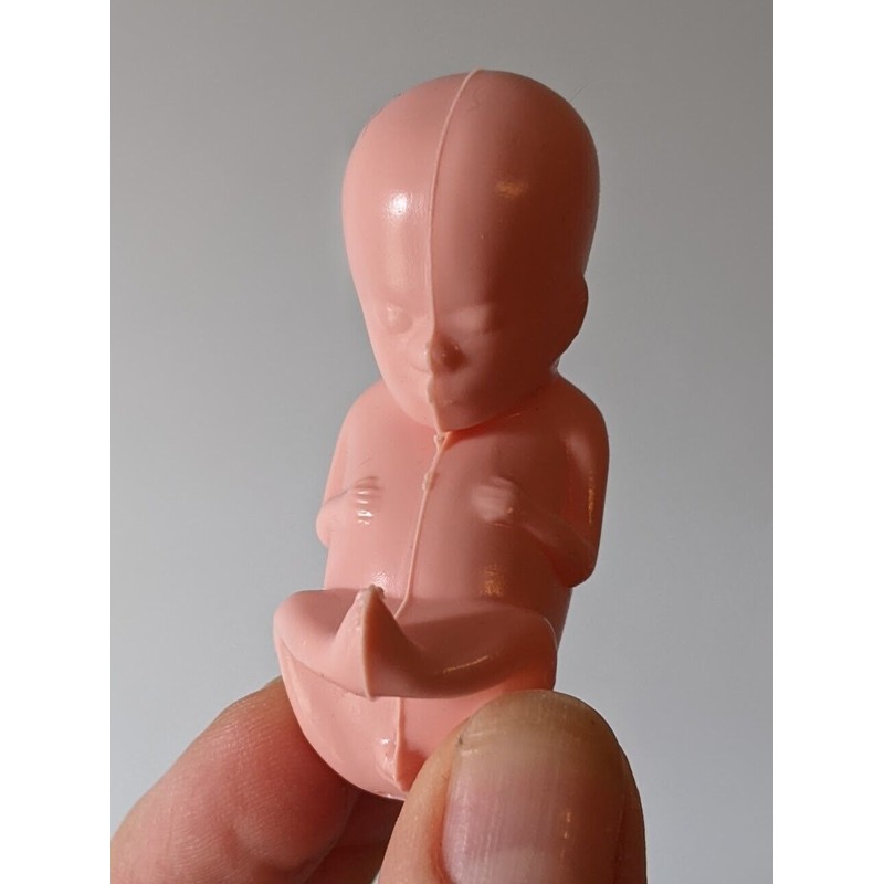 1 hard plastic model fetus, unusual medical fetal doll, abortion