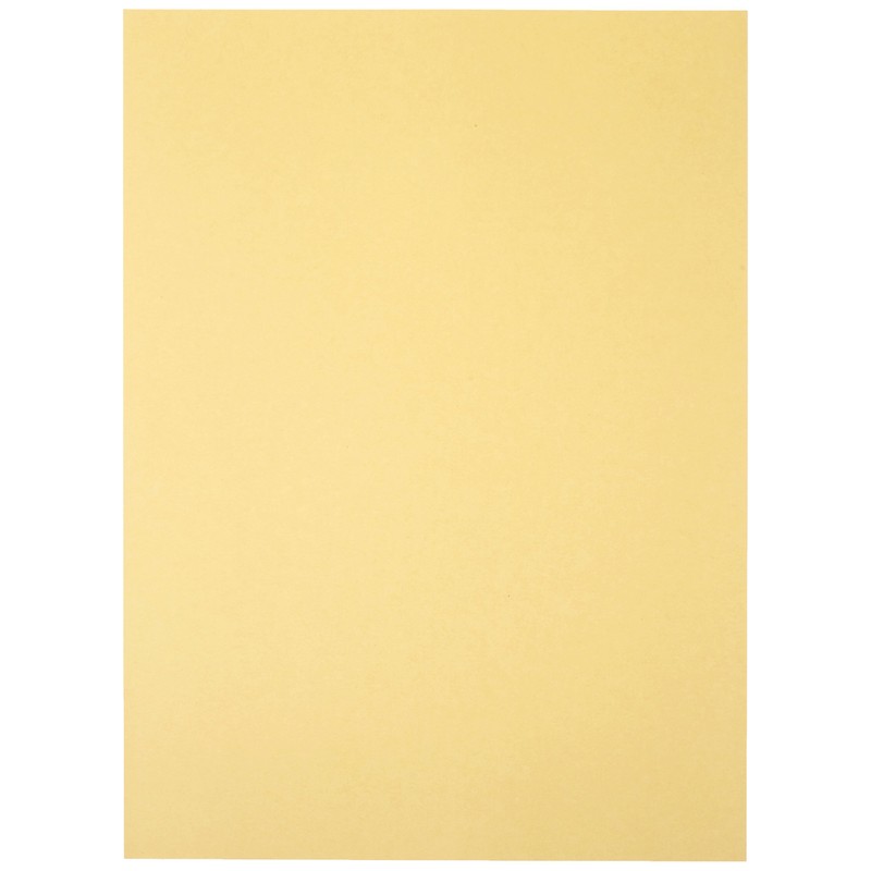 長門屋商店 カラーペーパー ナ-3303 A4厚口 100枚 クリーム