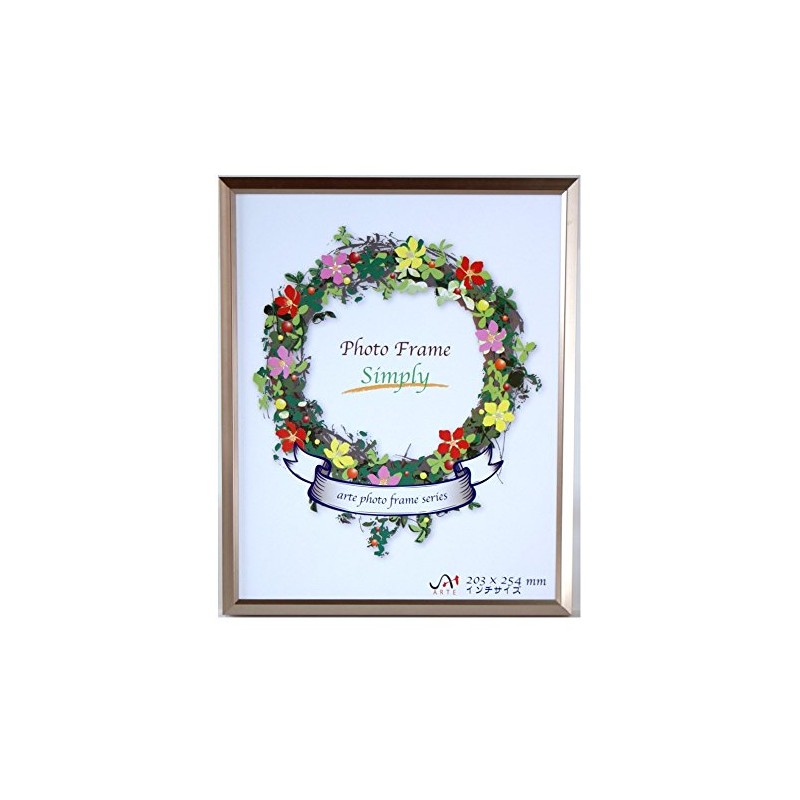 Arte Photo Frame, Simply, IF-43 Inch Size, Aluminum