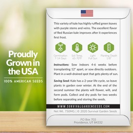 1 Pack Red Russian Kale Seed for Planting - Packet with Instructions to Grow Curly Ornamental & Edible Kale in Your Home Vegetable Garden - Non-GMO Heirloom Variety - Survival Garden Seeds