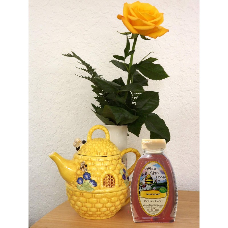 Austin Texas Local Wildflower Honey 16oz