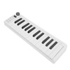 MIDI Keyboard Controller 25 Force Sensitive Keys 1 Assignable Knob