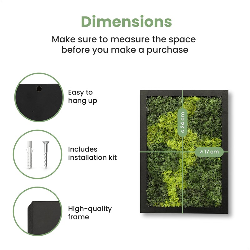 comforder Rectangular Real Moss Wall Art Picture 6.7x 9.4”/ 17x24cm,