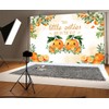 10X8ft Twin Baby Shower Photo Backdrop Photography Background, Two Little