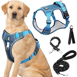 Pechera para Perro Extra Grande, con Correa para Perro 2 m, Cinturon de Seguridad para Perro Coche, cinturón de Almacenamiento, Arnés para Perro para Paseo, Viaje y Entrenamiento (Azul, XL)