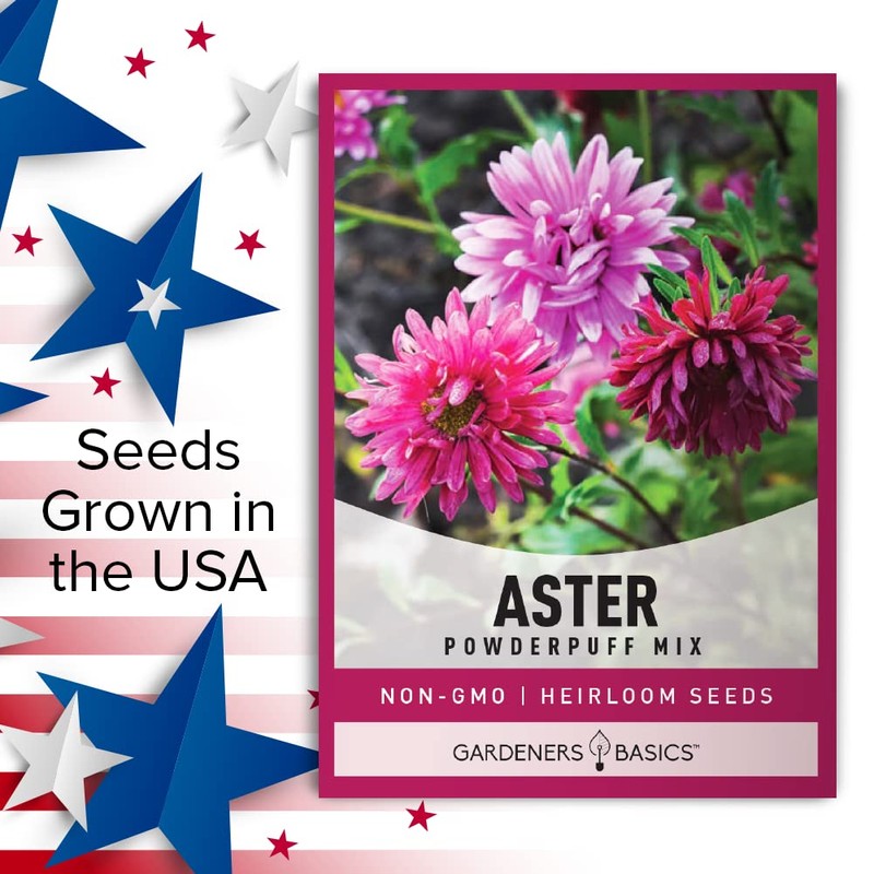Aster Powderpuff Mix Flower Seeds