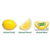 True Lemon - Crystallized Lemon For Water, Tea - Single-Serve