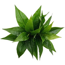 Artificial Agave Fake Plant, 10 Inches Faux Shrubs Bushes Plants for Indoor Outdoor Bedroom Garden Greenery UV Resistant Leaves Decor Wedding Party Office Planter Filler DIY Decoration Green 2 Pack