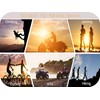 FASTGOOSE Motorcycle Gloves, Smartphone Compatible, Bicycle Gloves, Spring, Summer, Autumn,