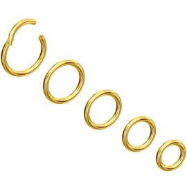 NewkeepsR Steel 5pcs-16G(1.2mm) Gold Anodised Hinged Clicker Nose Ring Hypoallergenic Full Hoops, Implant Grade Clasp Setpum Sleeper Seamless Earrings Helix Piercing-6mm/7mm/8mm/9mm/10mm