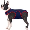 FUAMEY Dog Surgery Suit Female Spay,Dogs Recovery Suit Male,Puppy Bodysuit