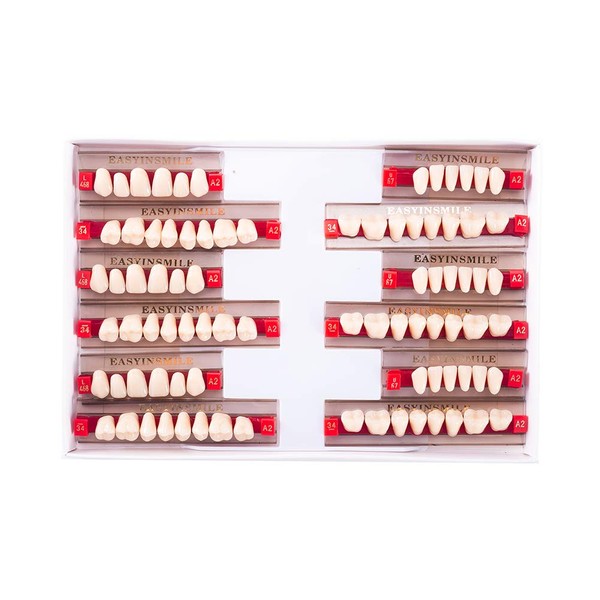 Easyinsmile Dental Synthetic Resin Teeth A2 A3 False Upper Lower