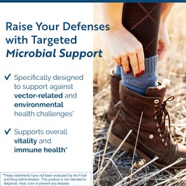 Researched Nutritionals BLT - Advanced Microbial Support - Black Walnut Hull, Boneset Herb, Sarsaparilla & Lomatium Tincture - Phospholipid Delivery Complex for Maximum Absorption (4 fl oz)