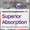 WELL ACTUALLY Advanced Immune Support & Elderberry - Liquid Liposomal
