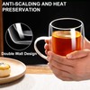 Baalaka Double Wall Glass Tea Cup With Stainless Steel Infuser