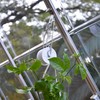 Palram Greenhouse Trellis Kit
