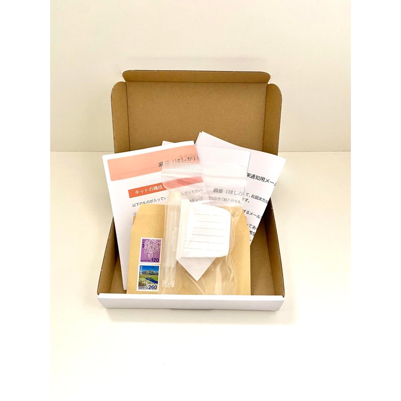 Metaboscreen Measles Test Kit RT-PCR Method Easy Post Mailing Inspection