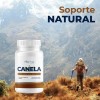 Canela 400 Mg 100 Cápsulas