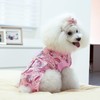 CuteBone Skulls SSF02M-DE Dog Surgery Recovery Suit Cat Surgical One-Piece
