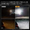 Suparee T15 T16 LED Back Lamp, Ultra-Bright Reverse Light, 12V