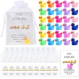 Unittype Set of 100 Employee Inspirational Gift Bulk Mini Resin Ducks with Organza Bags You're Ducking Great Cheer up Cards Tiny Pocket Ducks(Colorful, Colorful Style)
