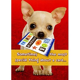 Designer Greetings Chihuahua Holding Card in Mouth Cute : Sentimental Dog Birthday Card