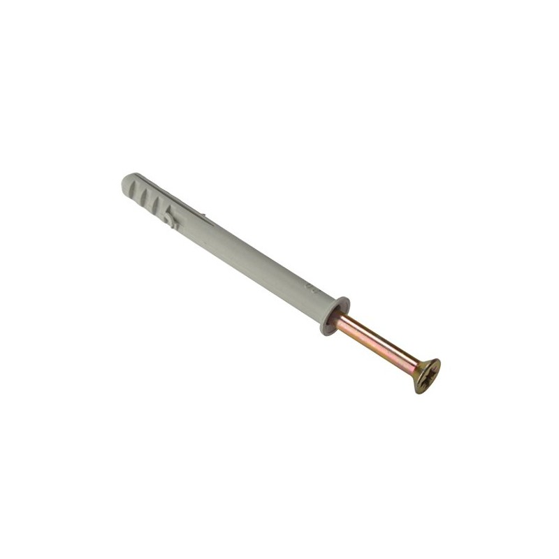 ForgeFix Frame Fixings | M10 x 100mm | Nylon Plug,