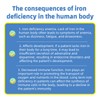 Iron Deficiency Anemia Home Test Kit Highly Accurate, Easy to