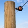 Gallagher - XDI ring insulator (pack of 25) - Electric