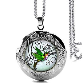 DianaL Boutique Silver Tone Hummingbird Locket Bird Pendant Necklace with a Gift Box