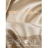 Warmstar Silk Pillowcase, 100% Natural, Grade 6A, 16.9 x 24.8