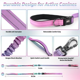 MLOHASING Heavy Duty Hands Free Dog Leash – No Pull Bungee Waist Leash for Medium & Large Dogs (4-6FT, Up to 100 lbs) - Reflective Handles - Car Seatbelt Design - Walking & Running Training