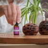 Zea Essentials Honey Myrtle 100% Pure Essential Oil 10 ml