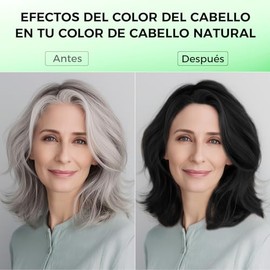 3 In 1 Black Hair Dye Shampoo for Women and Men, Instant Hair Color Shampoo for Gray Hair, Champú Para Teñir el Cabello