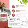 Amla Powder & Green Tea Superfood Supplement with Hibiscus, 20x