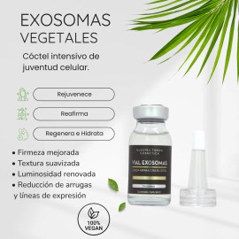 Vial Antiedad Exosomas Vegano Rejuvenece Regenera Reafirma Momento De Aplicación Día/noche Tipo De Piel Todo Tipo De Piel