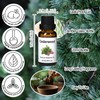 Essential Oils Set-Essential Oils- Perfect for Diffuser,Candle Making,Soap Making -Eucalyptus,