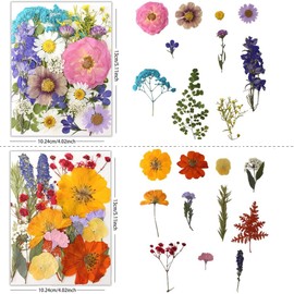 80 flores prensadas secas, flores prensadas naturales para moldes de resina epoxi, artesanías, decoración del hogar, portavelas, marcadores, arte de bricolaje, marco de fotos, multicolor