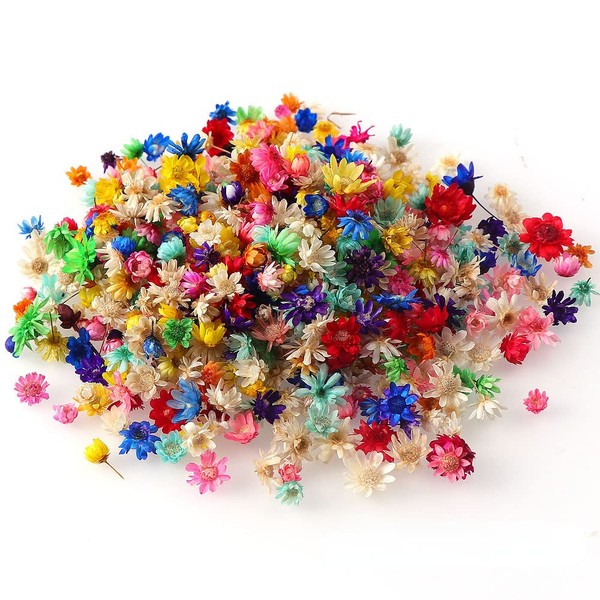 Itisyou 200 Pcs Dried Flowers Resin Dried Flowers Small Florets Pressed Flower Star Flowers