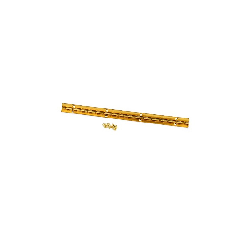 Highpoint Small Piano Hinge Brass Plated 200Mm X 9Mm