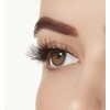 Ardell Strip Lashes Aqua Lashes 341