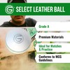 ONEGlobal Select Leather Cricket Ball | 100% Handcrafted, 156g -