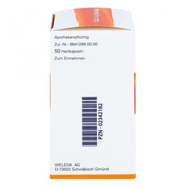 Birch Charcoal Comp.Hard Capsules Pack of 50