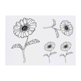 4 x 'Daisy' Temporary Tattoos - Water Resistant, Skin-Safe, Non-Toxic Transfers, Mixed Sizes (TO00048961)