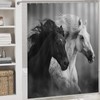 HDESDIS 4Pcs Black White Horse Shower Curtain Set with Rugs,