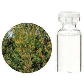 生活の木 エッセンシャルオイル 有機ティートゥリー(10ml)