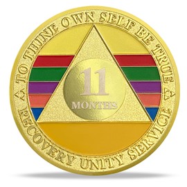 11 Month Sobriety Coin Gifts Set | Alcoholics Anonymous Rainbow Triangle NA HA AA Chip Medallion with Serenity Prayer | Sobriety Gifts for Anniversary Month & Year for Men & Women in Recovery
