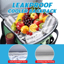 HIKERBRO Cooler Backpack - Insulated & Leak Proof Backpack Cooler, 24 Can Portable Cooler Bag, Heavy Duty Waterproof Back Pack with Padded Handle for Lunch, Picnic，Beach, Camping, Men & Women, Green