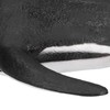 Penguin Model Simulation Soft Rubber Sliding Penguin Model Marine Animal