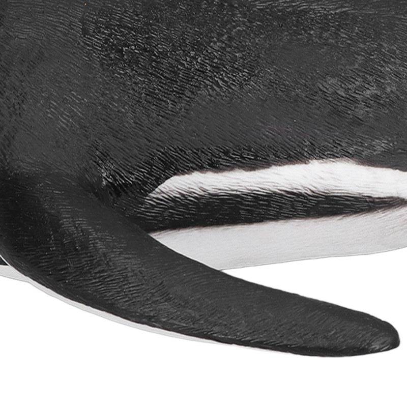 Penguin Model Simulation Soft Rubber Sliding Penguin Model Marine Animal